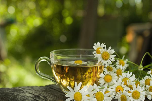 发烧能喝菊花茶吗（小孩发烧能喝菊花茶吗）